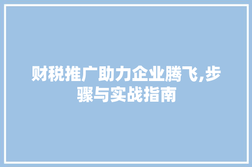 财税推广助力企业腾飞,步骤与实战指南