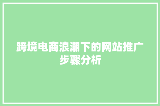 跨境电商浪潮下的网站推广步骤分析