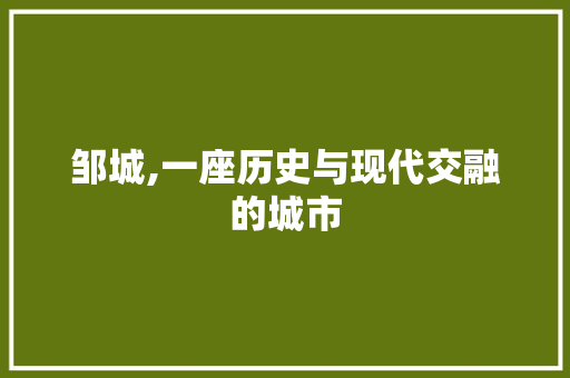 邹城,一座历史与现代交融的城市 英文谷歌算法