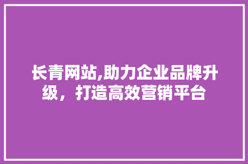 长青网站,助力企业品牌升级，打造高效营销平台