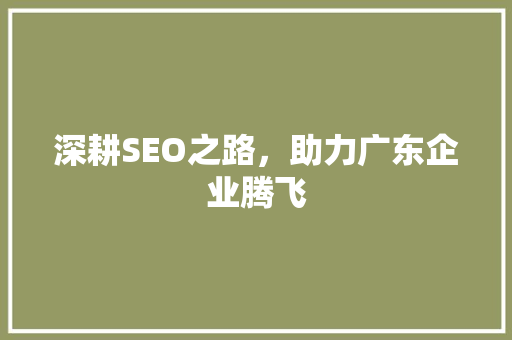 深耕SEO之路，助力广东企业腾飞