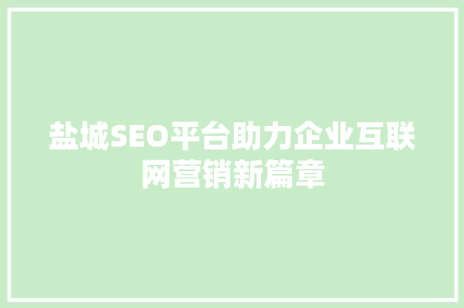 盐城SEO平台助力企业互联网营销新篇章 网站开发