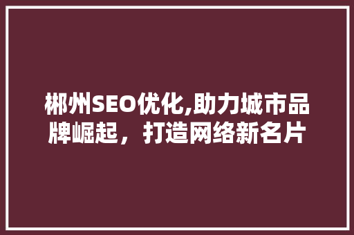 郴州SEO优化,助力城市品牌崛起，打造网络新名片 小程序开发