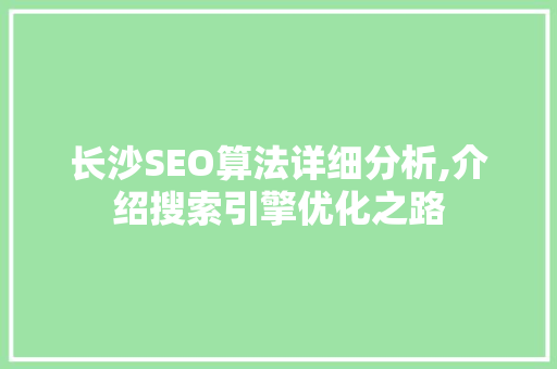 长沙SEO算法详细分析,介绍搜索引擎优化之路