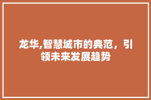 龙华,智慧城市的典范，引领未来发展趋势