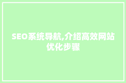 SEO系统导航,介绍高效网站优化步骤