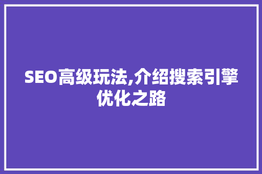 SEO高级玩法,介绍搜索引擎优化之路