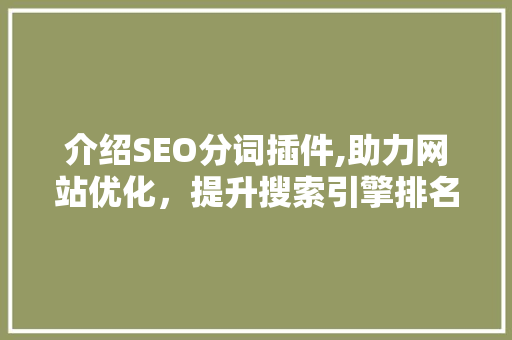 介绍SEO分词插件,助力网站优化，提升搜索引擎排名 英文谷歌算法