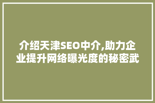 介绍天津SEO中介,助力企业提升网络曝光度的秘密武器