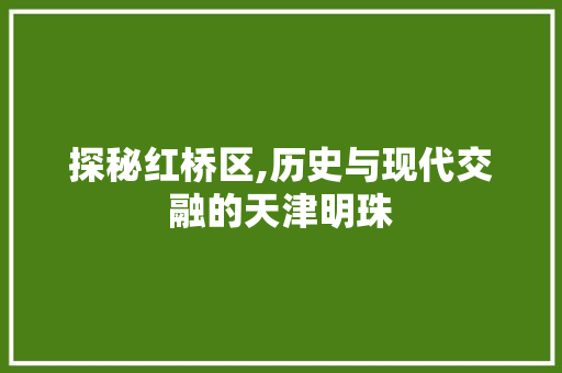 探秘红桥区,历史与现代交融的天津明珠 探秘红桥区,历史与现代交融的天津明珠 网站优化