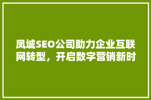 凤城SEO公司助力企业互联网转型，开启数字营销新时代 seo技术