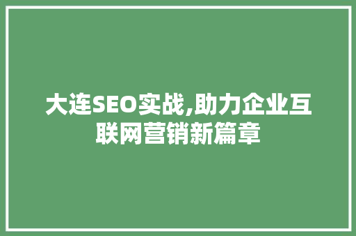 大连SEO实战,助力企业互联网营销新篇章