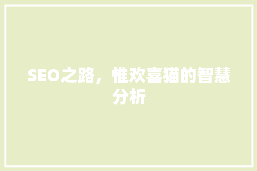 SEO之路，惟欢喜猫的智慧分析