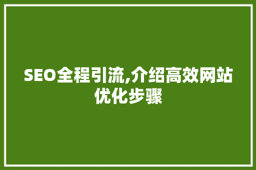 SEO全程引流,介绍高效网站优化步骤