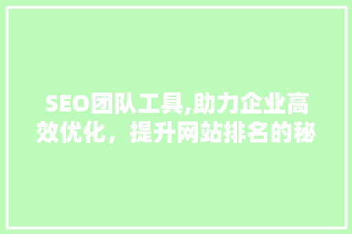 SEO团队工具,助力企业高效优化，提升网站排名的秘密武器