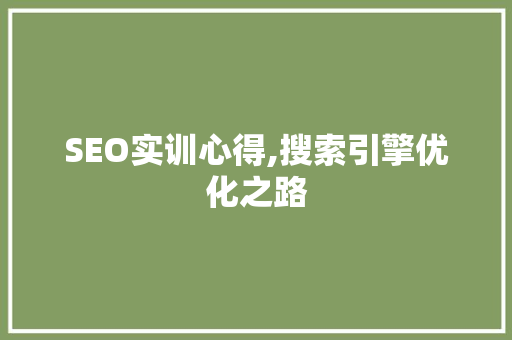 SEO实训心得,搜索引擎优化之路 360搜优化