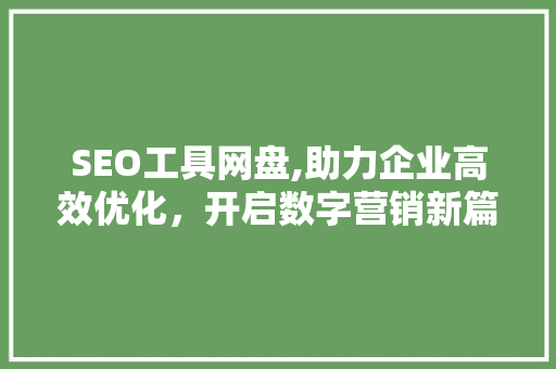 SEO工具网盘,助力企业高效优化，开启数字营销新篇章