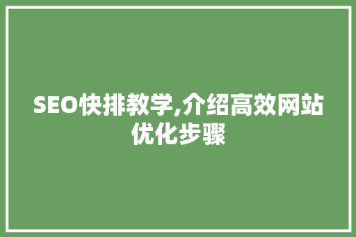 SEO快排教学,介绍高效网站优化步骤 英文谷歌算法