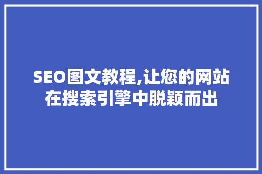 SEO图文教程,让您的网站在搜索引擎中脱颖而出