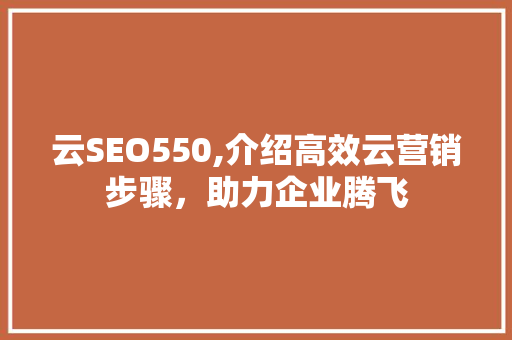 云SEO550,介绍高效云营销步骤，助力企业腾飞