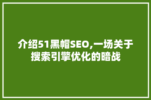介绍51黑帽SEO,一场关于搜索引擎优化的暗战 网站优化
