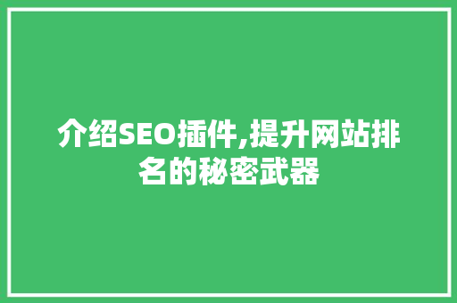介绍SEO插件,提升网站排名的秘密武器