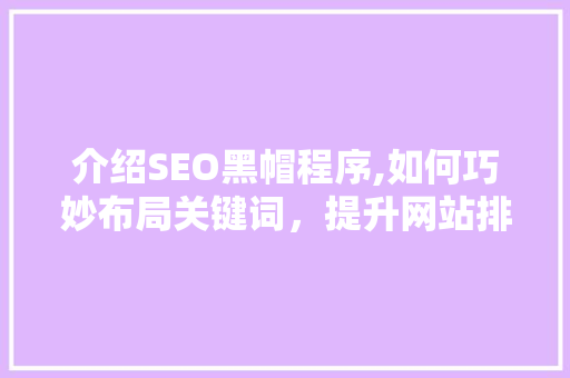 介绍SEO黑帽程序,如何巧妙布局关键词，提升网站排名 网站开发