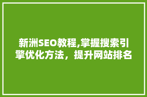 新洲SEO教程,掌握搜索引擎优化方法，提升网站排名