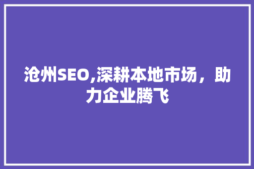 沧州SEO,深耕本地市场，助力企业腾飞