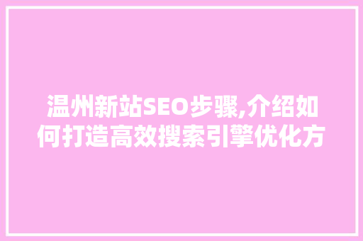 温州新站SEO步骤,介绍如何打造高效搜索引擎优化方法 360搜优化