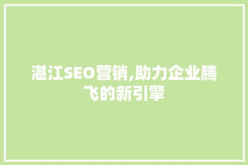 湛江SEO营销,助力企业腾飞的新引擎