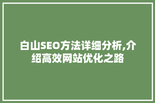 白山SEO方法详细分析,介绍高效网站优化之路 AI技术学习