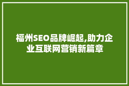 福州SEO品牌崛起,助力企业互联网营销新篇章 网站开发