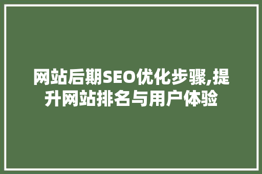 网站后期SEO优化步骤,提升网站排名与用户体验 网站优化