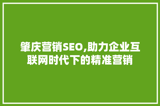 肇庆营销SEO,助力企业互联网时代下的精准营销