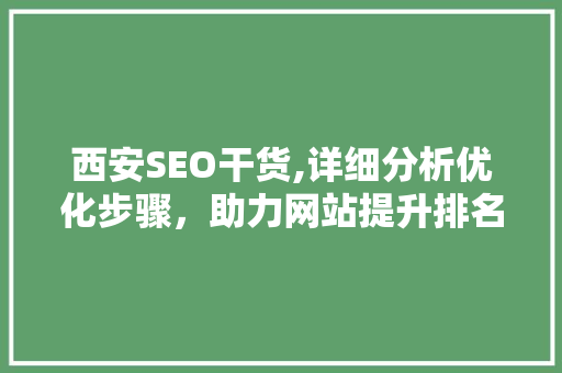 西安SEO干货,详细分析优化步骤，助力网站提升排名 百度算法