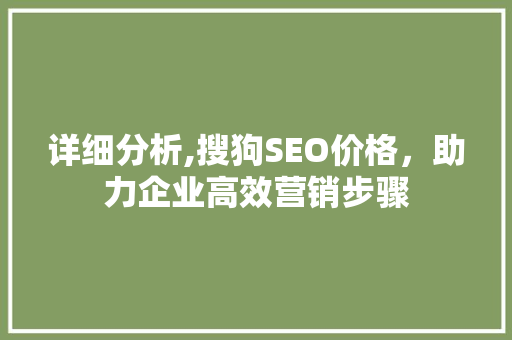 详细分析,搜狗SEO价格，助力企业高效营销步骤