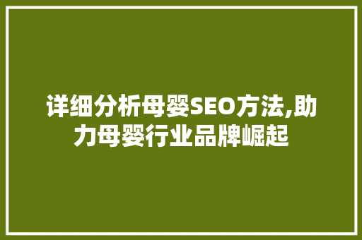 详细分析母婴SEO方法,助力母婴行业品牌崛起
