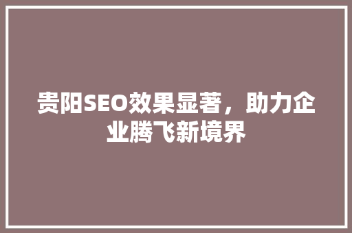 贵阳SEO效果显著，助力企业腾飞新境界