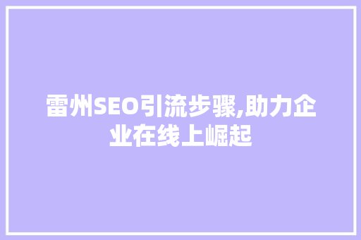 雷州SEO引流步骤,助力企业在线上崛起