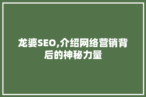 龙婆SEO,介绍网络营销背后的神秘力量