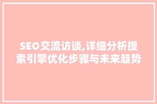 SEO交流访谈,详细分析搜索引擎优化步骤与未来趋势