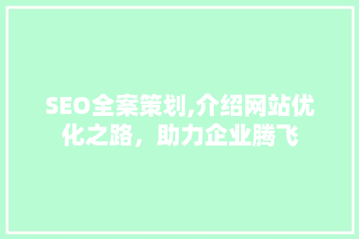 SEO全案策划,介绍网站优化之路，助力企业腾飞