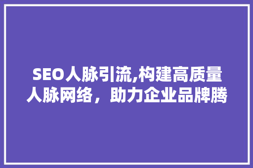 SEO人脉引流,构建高质量人脉网络，助力企业品牌腾飞 网站优化