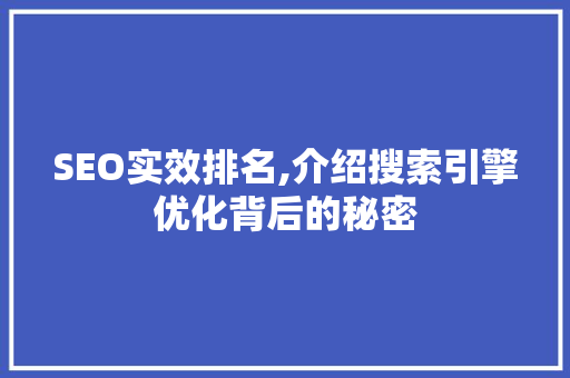 SEO实效排名,介绍搜索引擎优化背后的秘密