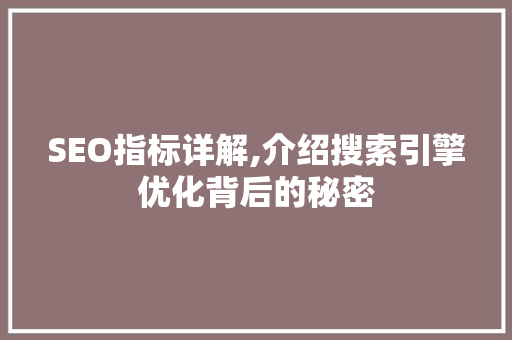 SEO指标详解,介绍搜索引擎优化背后的秘密 网站开发