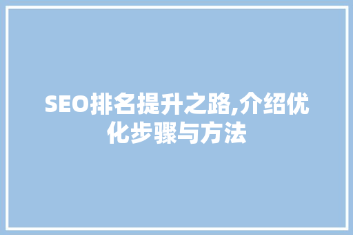 SEO排名提升之路,介绍优化步骤与方法