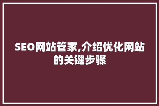 SEO网站管家,介绍优化网站的关键步骤