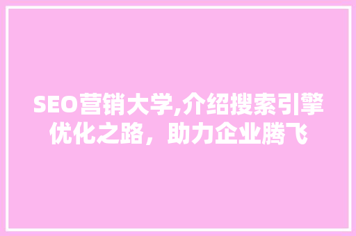 SEO营销大学,介绍搜索引擎优化之路，助力企业腾飞