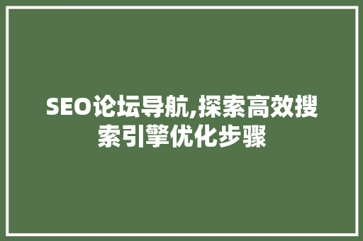 SEO论坛导航,探索高效搜索引擎优化步骤